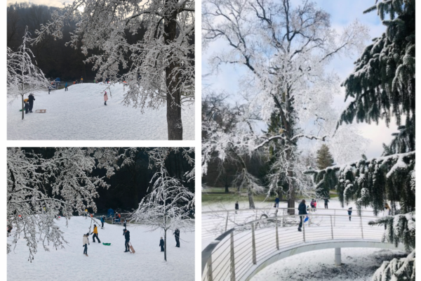 Zima je v Mestnem parku Celje doma :)